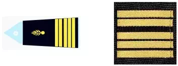 galon_colonel_gr_gendarmerie