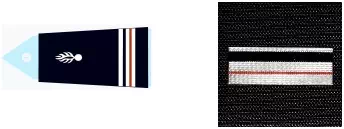 galon_major_cstagn_gendarmerie